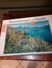 Puzzle 3000 pezzi