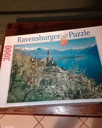 Puzzle 3000 pezzi