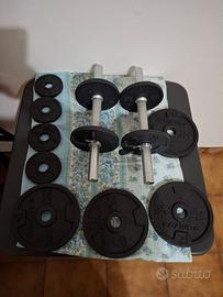 PESI ED ELASTICI DA PALESTRA