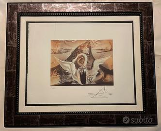 Titolo: Salvador DALÍ - Litografia su carta Arches