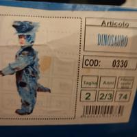 vestito di carnevale 