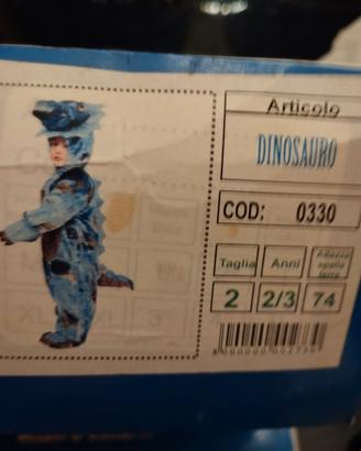 vestito di carnevale 