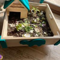 terrario in legno per tartarughe 