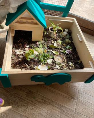 terrario in legno per tartarughe 