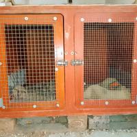 Kennel doppia porta