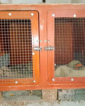 Kennel doppia porta