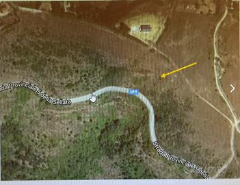 Terreno agricolo 10.000 a Pignola (Pz)