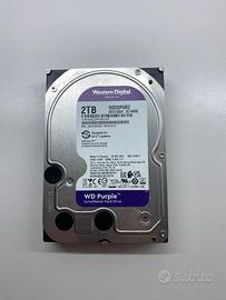 HDD Videosorveglianza 2TB Purple Interno 2000GB