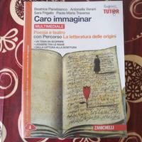 caro immaginar multimediale