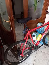 Bici uomo