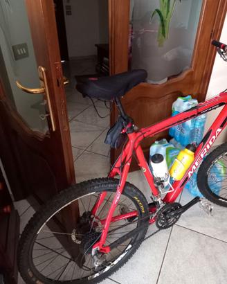 Bici uomo