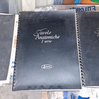 Set di 3 volumi di Tavole Anatomiche anni '60