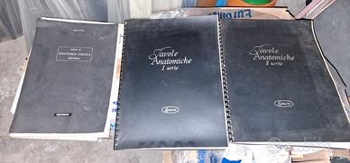 Set di 3 volumi di Tavole Anatomiche anni '60