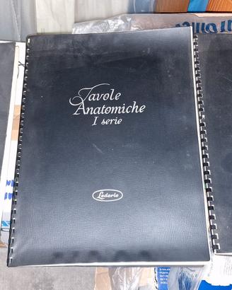 Set di 3 volumi di Tavole Anatomiche anni '60