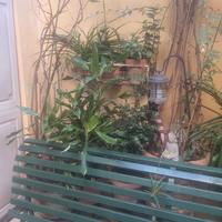 arredo giardino