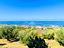 Immagine 9