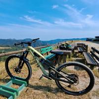 Canyon Spectral CF8 2023 Taglia L