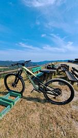 Canyon Spectral CF8 2023 Taglia L