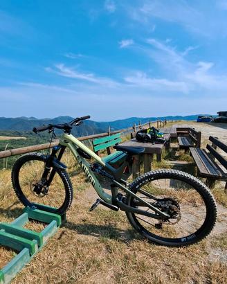 Canyon Spectral CF8 2023 Taglia L