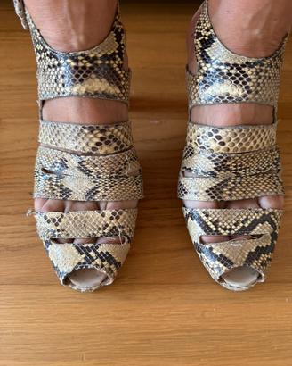 Scarpe coccodrillo marca Dominici n.37