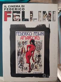 DVD Amarcord 