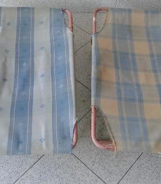 Cuccie per cani