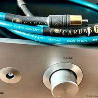 Cavo rca cardas