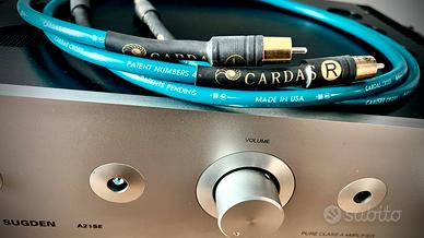 Cavo rca cardas