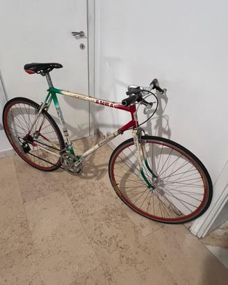 Bici di corso