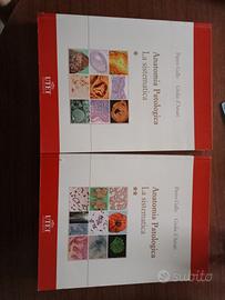 ANATOMIA PATOLOGICA GALLO D'AMATI  MEDICINA