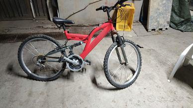 bici 24