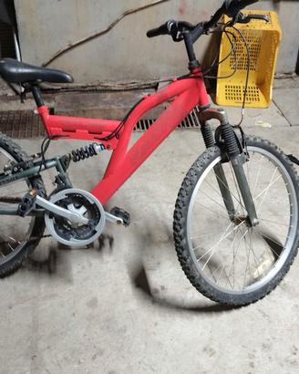 bici 24
