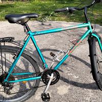 bicicletta specializad