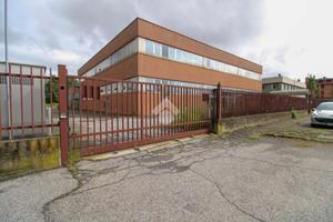 CAPANNONE A TRIBIANO