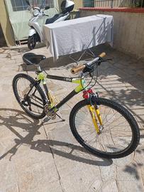 Bicicletta da  uomo 