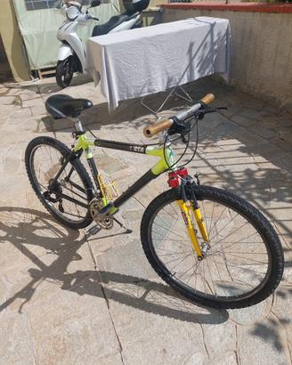 Bicicletta da  uomo 