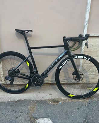 Focus izalco