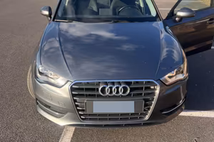 Audia A3 sportnack