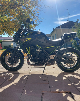 Kawasaki Z650 2022