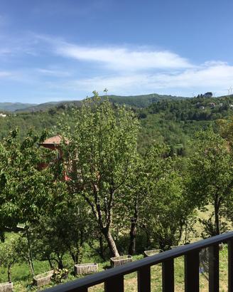 Appartamento casa vacanze - Tarsogno