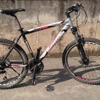 Mountain bike Bottecchia FX 520