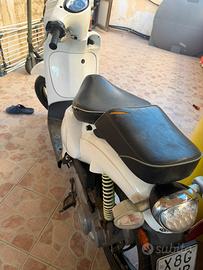 scarabeo