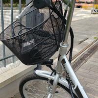 

TOMMY LUX LITHIUM 20"

