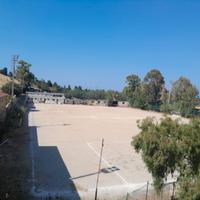 Arenella