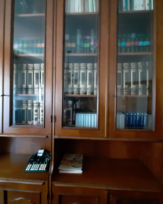 Libreria in noce con ante e mensole