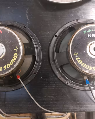 Coppia mid-woofer a 20 cm della Luodest sound
