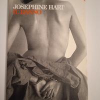 Josephine Hart Il Danno
