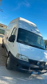 fiat ducato furgone 