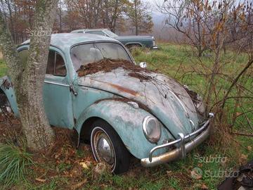 VW maggiolino/furgoncino