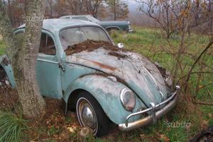 VW maggiolino/furgoncino